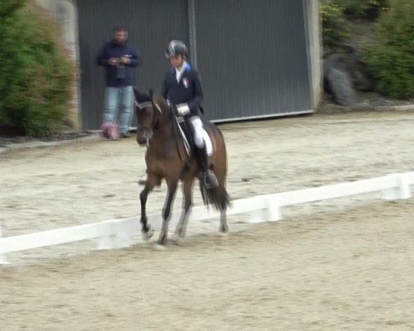 FEI Reitturnier St. Margarethen 2024