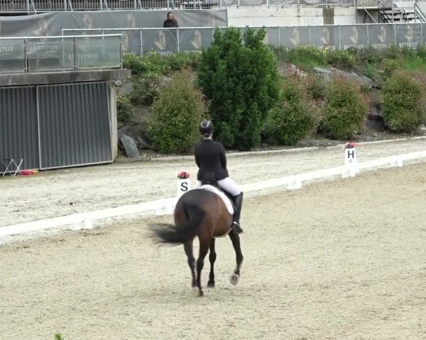 FEI Reitturnier St. Margarethen 2024