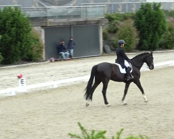 FEI Reitturnier St. Margarethen 2024