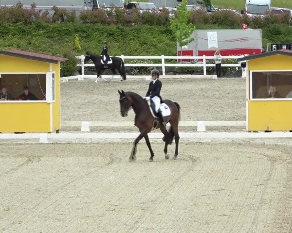 FEI Reitturnier St. Margarethen 2024