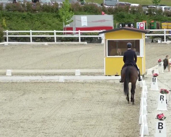 FEI Reitturnier St. Margarethen 2024