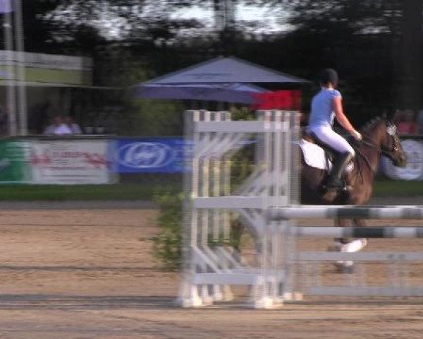 Datteln 2012