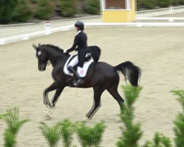 FEI Reitturnier St. Margarethen 2024
