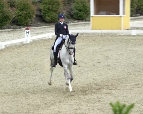 FEI Reitturnier St. Margarethen 2024