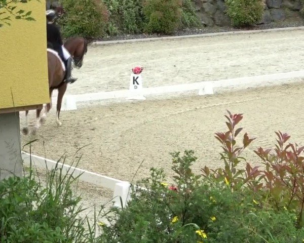 FEI Reitturnier St. Margarethen 2024