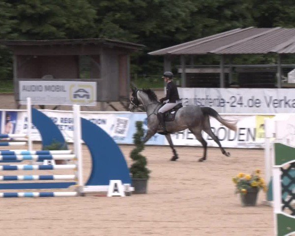 Reitturnier Ranshofen - Braunau am Inn 2024