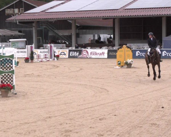 Reitturnier Ranshofen - Braunau am Inn 2024