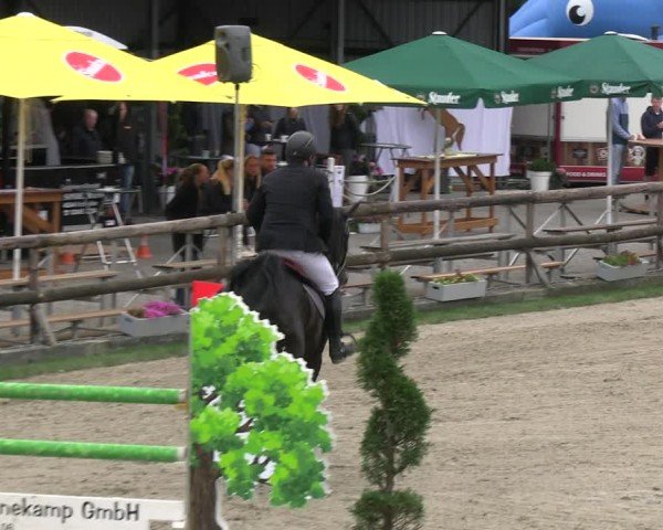 Reitturnier Kirchhellen/Stall Dieckmann 2024