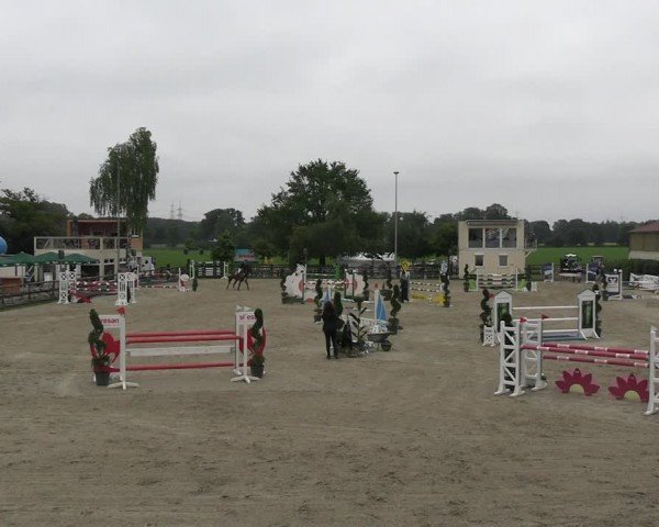 Reitturnier Kirchhellen/Stall Dieckmann 2024