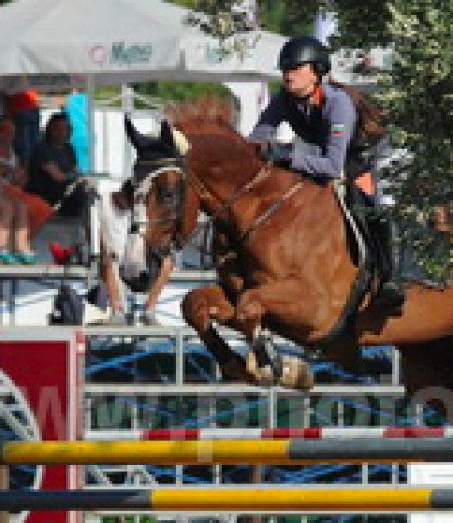 jumper Colorado (Bulgarian Warmblood, 2006, from Canetso) jumper Colorado (Bulgarian Warmblood, 2006, from Canetso)