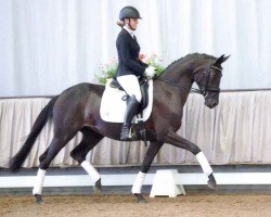 Pferd Florina S 4 (Westfale, 2017, von Frascino)