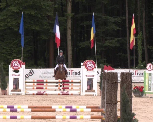 Reitturnier Ranshofen - Braunau am Inn 2024