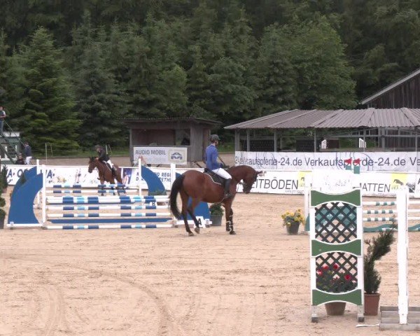 Reitturnier Ranshofen - Braunau am Inn 2024
