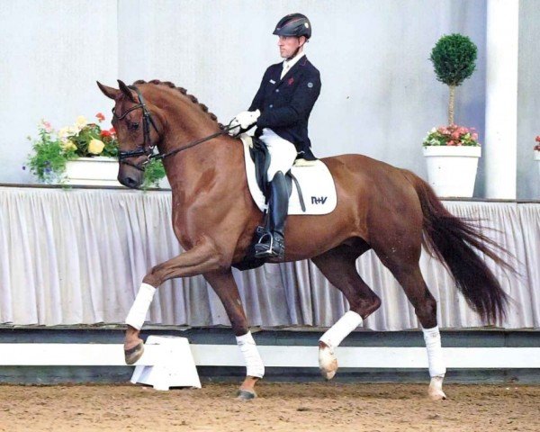horse Dion (Westphalian, 2016, from Damon Hill)