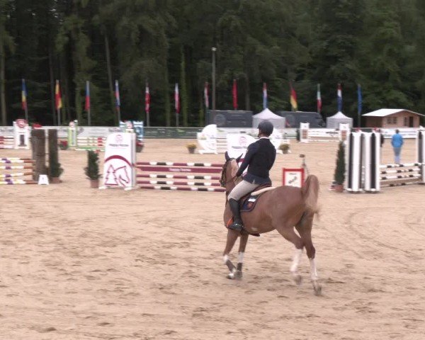 Reitturnier Ranshofen - Braunau am Inn 2024