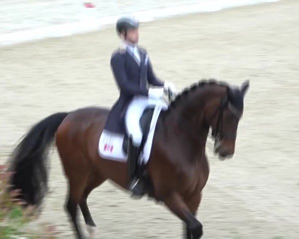 FEI Reitturnier St. Margarethen 2024