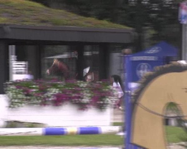 Datteln 2012