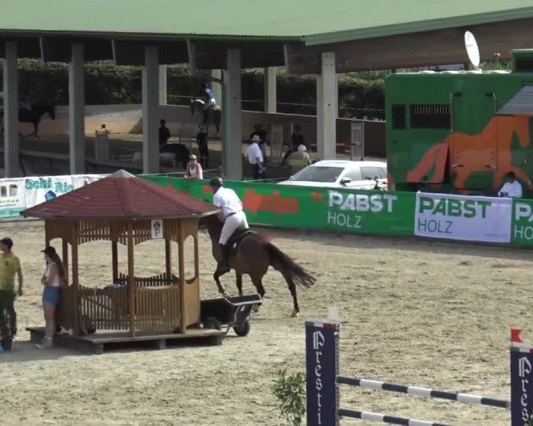 Reitturnier Piber 2023