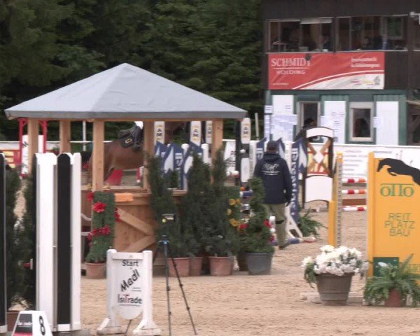 Reitturnier Ranshofen - Braunau am Inn 2024