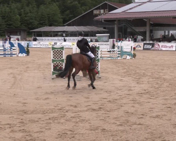 Reitturnier Ranshofen - Braunau am Inn 2024