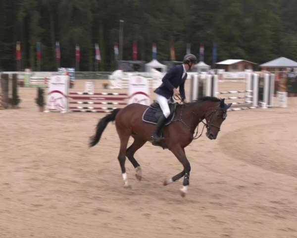 Reitturnier Ranshofen - Braunau am Inn 2024
