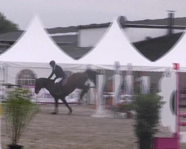 Datteln 2012