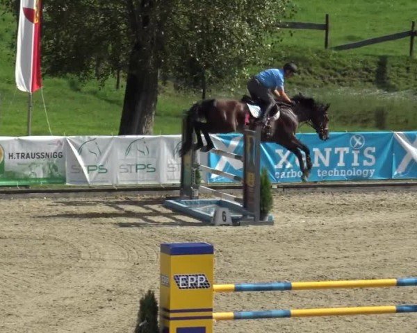 Reitturnier Piber 2023