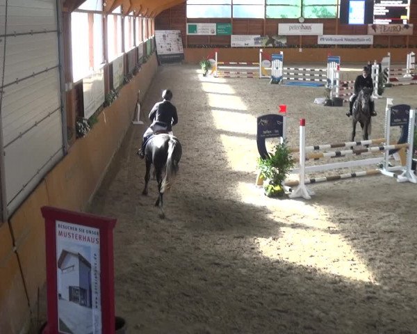 Springturnier Xanten - Reitanlage Miss 2021