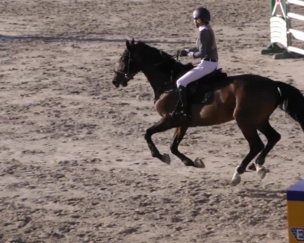 Reitturnier Zeltweg-Farrach 2023