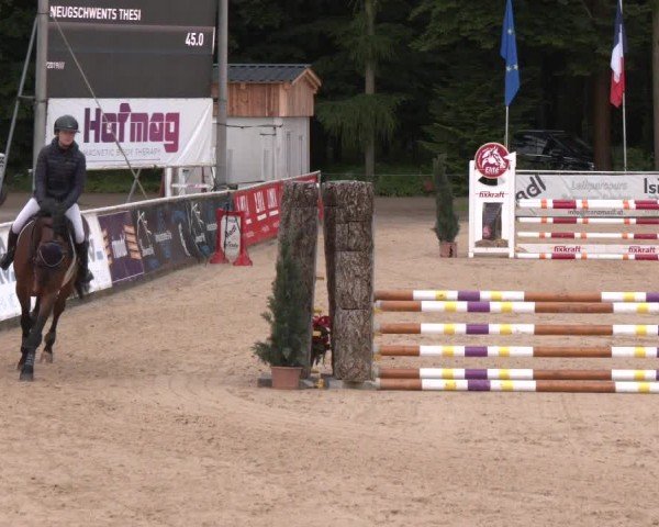 Reitturnier Ranshofen - Braunau am Inn 2024