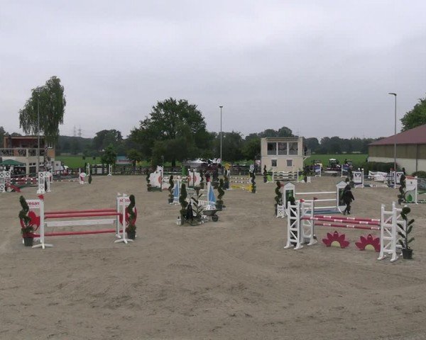Reitturnier Kirchhellen/Stall Dieckmann 2024