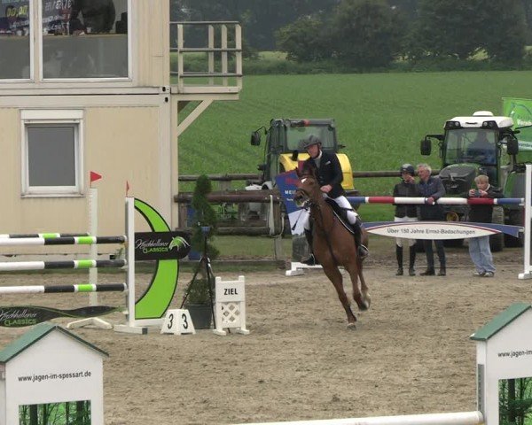 Reitturnier Kirchhellen/Stall Dieckmann 2024