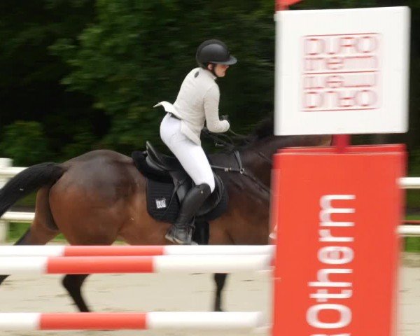 Reitturnier Nordstetten- Horb 2024