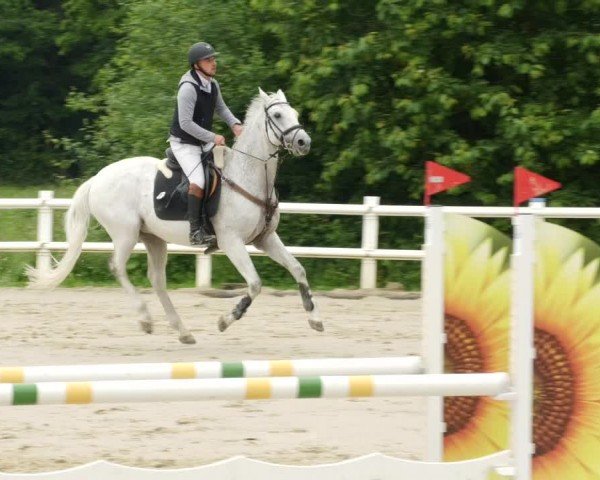 Reitturnier Nordstetten- Horb 2024