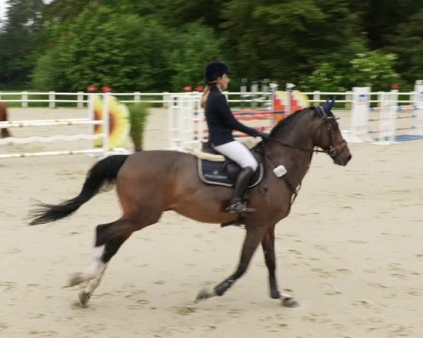 Reitturnier Nordstetten- Horb 2024