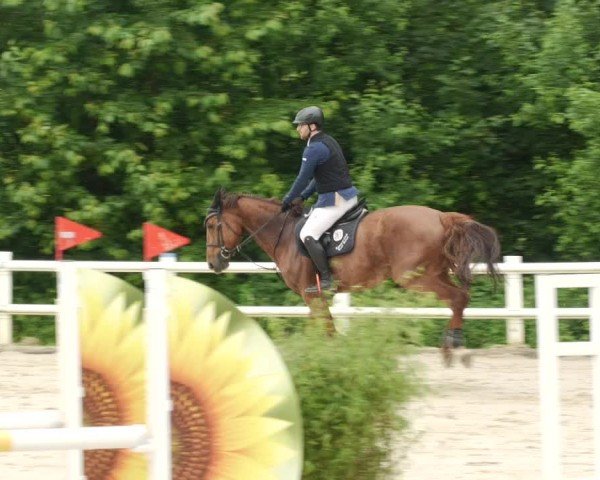 Reitturnier Nordstetten- Horb 2024