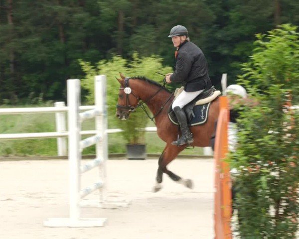 Reitturnier Nordstetten- Horb 2024