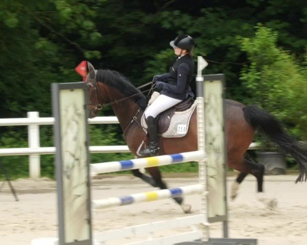 Reitturnier Nordstetten- Horb 2024