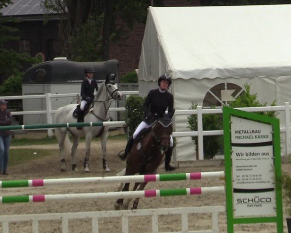 Reitturnier Dortmund-Somborn 2024