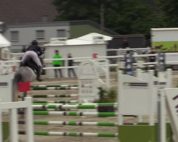 Reitturnier Dortmund-Somborn 2024