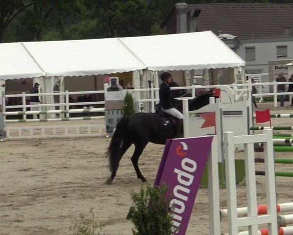 Reitturnier Dortmund-Somborn 2024