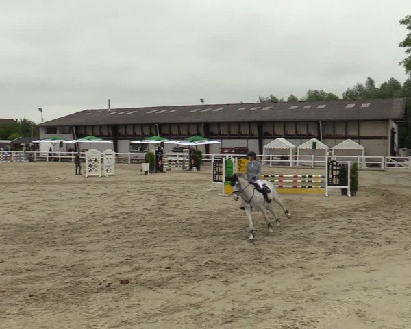 Reitturnier Dortmund-Somborn 2024