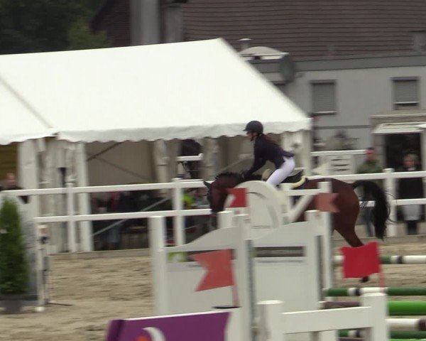 Reitturnier Dortmund-Somborn 2024