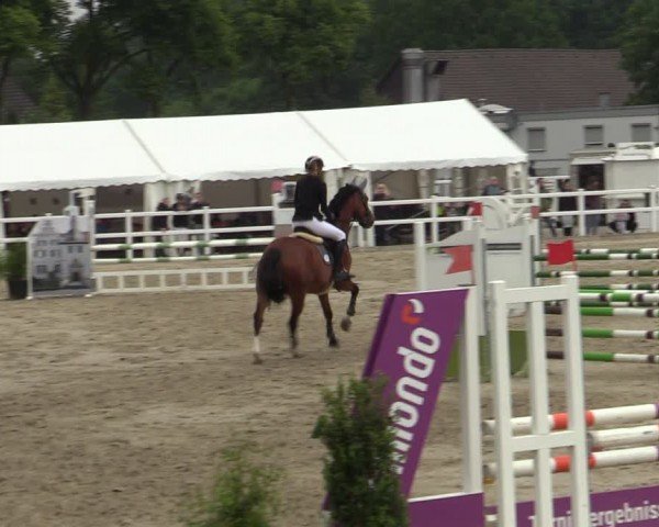 Reitturnier Dortmund-Somborn 2024