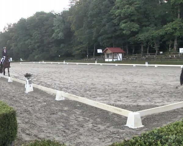 Reitturnier Neu-Anspach / Wintermühle 2021