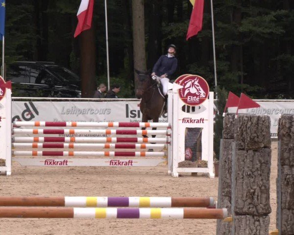 Reitturnier Ranshofen - Braunau am Inn 2024