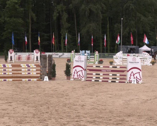 Reitturnier Ranshofen - Braunau am Inn 2024