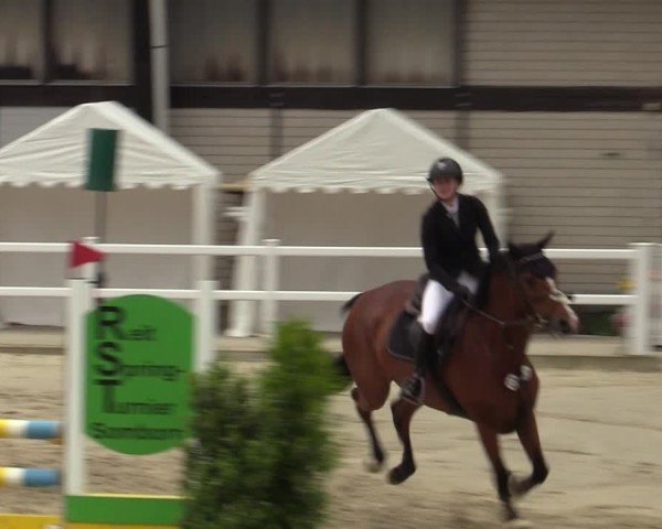 Reitturnier Dortmund-Somborn 2024