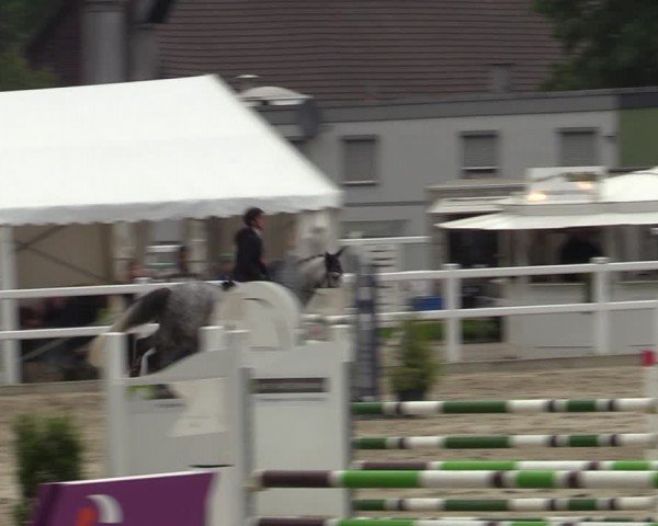 Reitturnier Dortmund-Somborn 2024
