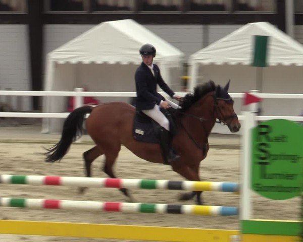 Reitturnier Dortmund-Somborn 2024